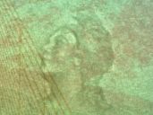 Image 50035 of Watermark