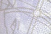 Image 179176 of Printing technique