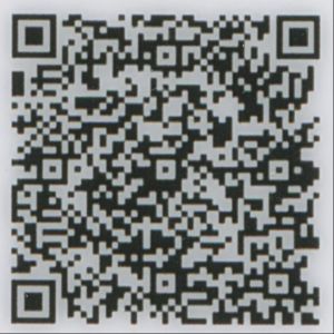 GEO-BO-02001 - 
<Verso> - Salvagwardja addizzjonali