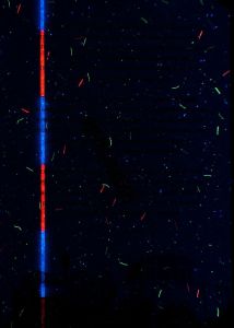 GRC-AS-02002 - 
<Einbandinnenseite, hinten> - UV-Merkmal