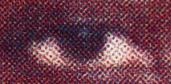 Image 278356 of Facial image