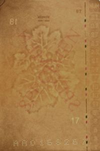 HUN-AD-02001 - 
<Vnitřn&iacute; strana (strany)> - Vodoznak