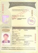 Image 116208 of Biodata page
