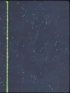 IND-AD-02001 - 
<Pagina(e) interna(e)> - Elemento UV