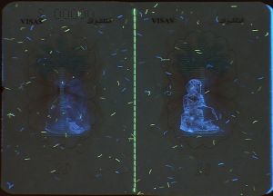 IRQ-AO-02001 - 
<Paġna/i ta' ġewwa> - Element UV