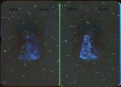 Image 198112 of Element UV