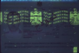 IRQ-AS-01001 - 
<Paġna tal-bijodata> - Element UV
