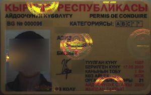 KGZ-FO-02001 - 
<Recto - identit&agrave;> - Pellikola
