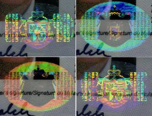 LIE-AD-02001 - 
<Strana s osobn&iacute;mi &uacute;daji> - OVD - opticky proměnliv&yacute; prvek