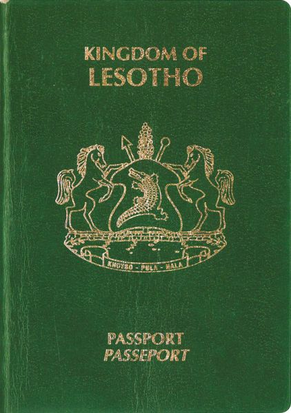 LSO-AO-01002 - 
<Qoxra &ndash; ta' quddiem, minn barra>
                