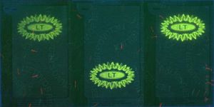 LTU-GO-01002 - 
<Verso> - UV feature