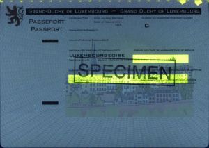 LUX-AO-02001 - 
<Pagina dei dati anagrafici> - Elemento UV