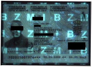 LUX-BO-02001 - 
<Recto - identit&agrave;> - Element UV