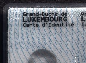 LUX-BO-02001 - 
<Recto &ndash; identit&agrave;> - Pellicola di sicurezza