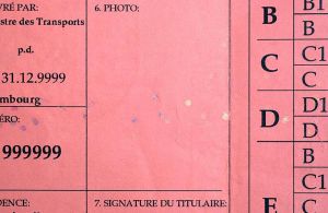 LUX-FO-01005 - 
<Recto - identit&agrave;> - Sottostrat