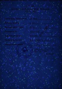 LVA-HO-02001 - 
<Recto - identit&agrave;> - Element UV