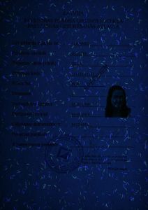 LVA-HO-02003 - 
<Recto - identit&agrave;> - Element UV