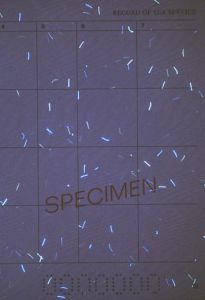 LVA-IO-01001 - 
<Paġna/i ta' ġewwa> - Element UV