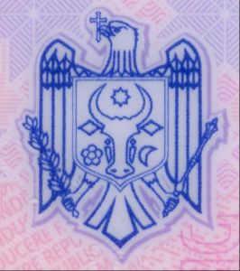 MDA-FO-04002 - 
<Recto - identit&agrave;> - Teknika ta&rsquo; stampar