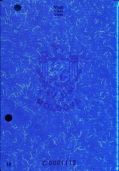 Image 173682 of Element UV