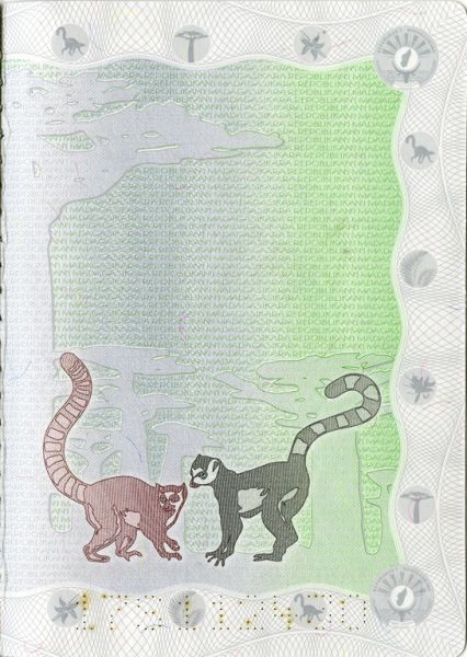 MDG-AS-01001 - 
<Qoxra &ndash; ta' wara, minn ġewwa>
                