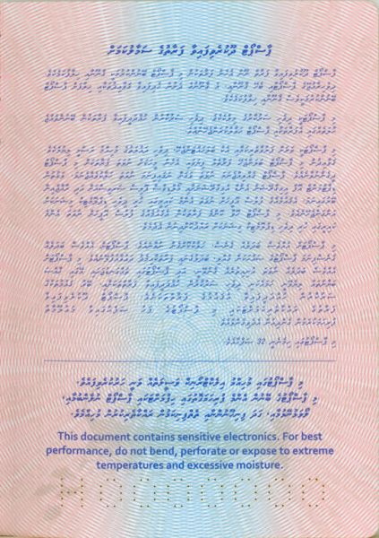 MDV-AS-03001 - 
<Qoxra &ndash; ta' wara, minn ġewwa>
                