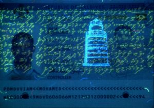 MDV-AS-03001 - 
<Pagina dei dati anagrafici> - Elemento UV