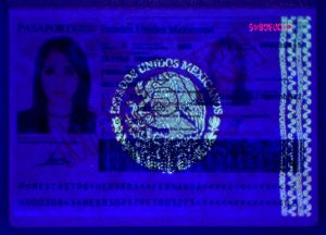 MEX-AO-02003 - 
<Paġna tal-bijodata> - Element UV