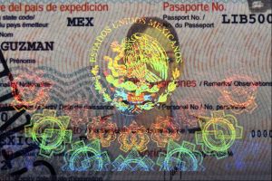 MEX-AO-02004 - 
                    <Strana s osobn&iacute;mi &uacute;daji>
                     - F&oacute;lie