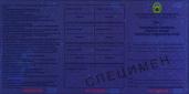 Image 385589 of Element UV