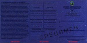 MKD-GO-02002 - 
<Recto - identit&agrave;> - Element UV