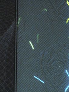 MLT-AO-04001 - 
<Qoxra &ndash; ta' quddiem, minn ġewwa> - Element UV