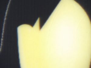 MLT-HD-08005 - 
<Recto - aitheantas> - &Iacute;omh&aacute; den &eacute;adan