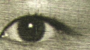MLT-HO-07001 - 
<Recto &ndash; identit&agrave;> - Immagine del volto