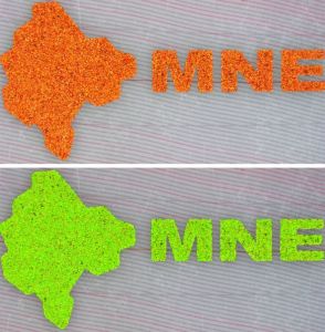 MNE-FO-02001 - 
<Verso> - Teknika ta&rsquo; stampar