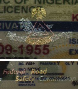 NGA-FO-02001 - 
<Recto - identit&agrave;> - Pellikola