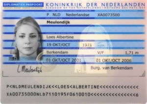 NLD-AD-01001 - 
<Integrovan&aacute; karta s osobn&iacute;mi &uacute;daji - předn&iacute; strana (totožnost)> - Fotografie obličeje