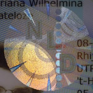 NLD-HO-02001 - 
<Recto &ndash; identit&agrave;> - OVD - elemento otticamente variabile