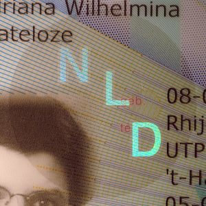 NLD-HO-02001 - 
<Předn&iacute; strana - totožnost> - OVD - opticky proměnliv&yacute; prvek