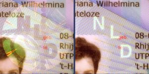 NLD-HO-02002 - 
<Předn&iacute; strana - totožnost> - OVD - opticky proměnliv&yacute; prvek