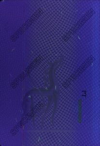NOR-AS-04001 - 
                    <Desky - předn&iacute; předs&aacute;dka>
                     - Jištěn&iacute; v UV světle