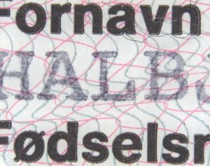 NOR-FO-03001 - 
<Předn&iacute; strana - totožnost> - Osobn&iacute; &uacute;daje