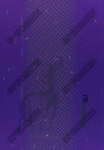 NOR-JO-04001 - 
<Qoxra &ndash; ta' quddiem, minn ġewwa> - Element UV