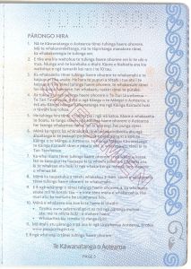 NZL-AP-01001 - 
<Paġna/i ta' ġewwa> - Sottostrat
