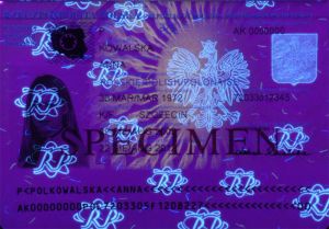 POL-AO-03002 - 
<Tessera integrata con dati anagrafici - recto (identit&agrave;)> - Elemento UV