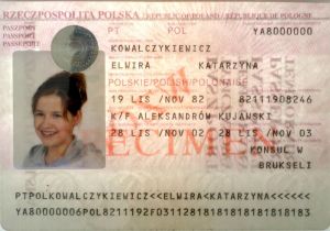 POL-AP-01001 - 
<Kard tal-bijodata integrata - recto (identit&agrave;)> - Marka tal-ilma