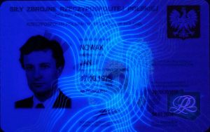 POL-BF-01002 - 
<Recto &ndash; identit&agrave;> - Elemento UV