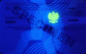 POL-BF-01002 - 
<Verso> - Element UV