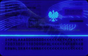 POL-BO-02001 - 
<Verso> - Element UV