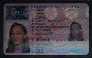 POL-FO-03001 - 
<Recto - identit&agrave;> - Pellikola